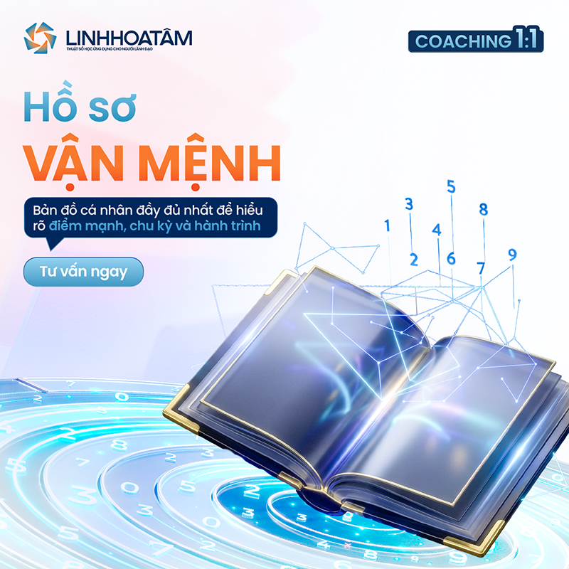 Combo Hồ Sơ Vận Mệnh